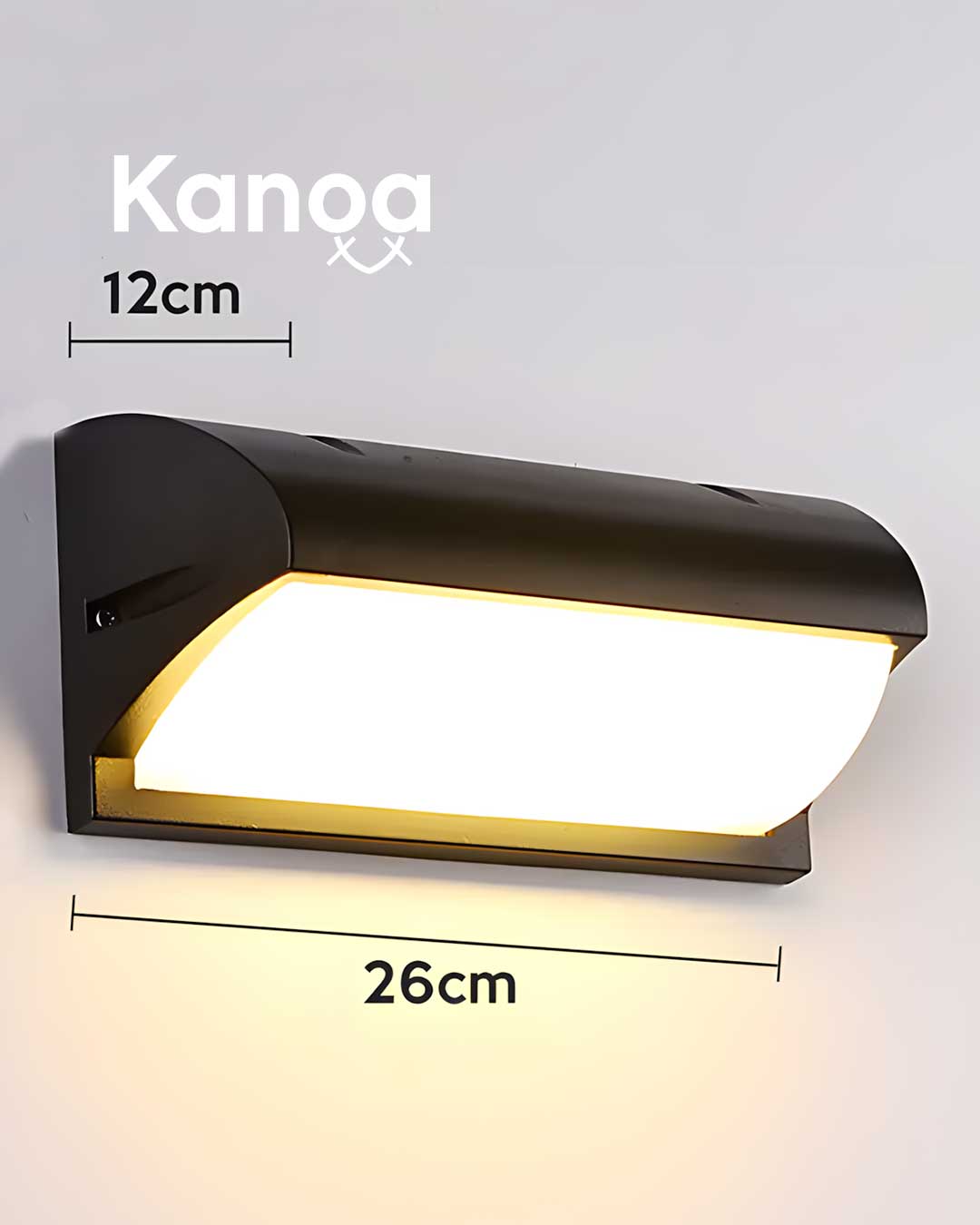 Outdoor LED Elegance Wall Light