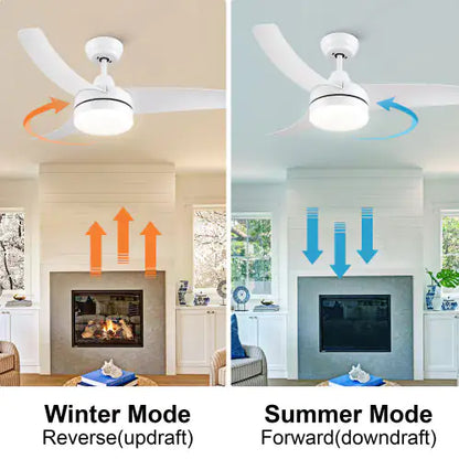 Modern Ceiling Fan