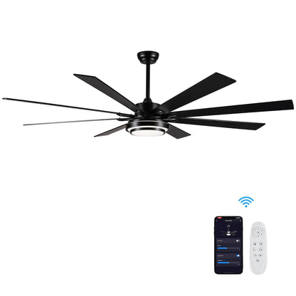 Metallic Black Ceiling Fan