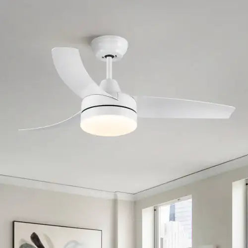 Modern Ceiling Fan