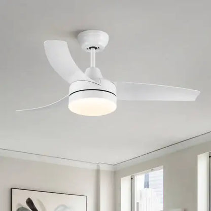 Modern Ceiling Fan