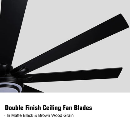 Metallic Black Ceiling Fan
