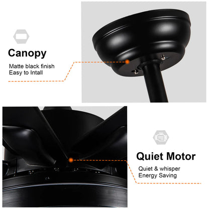 Metallic Black Ceiling Fan