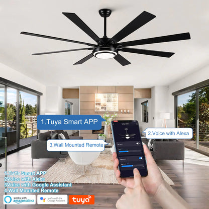 Metallic Black Ceiling Fan