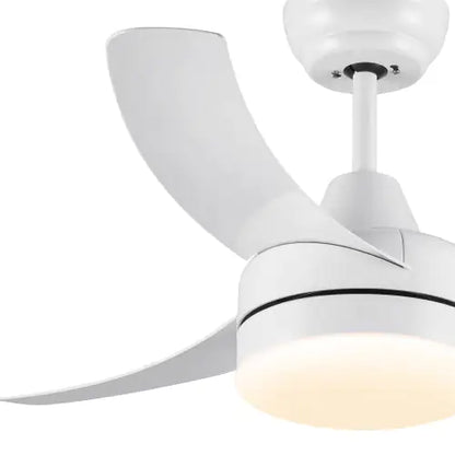Modern Ceiling Fan