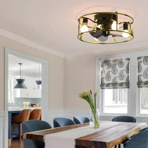 Ceiling Fan with Light