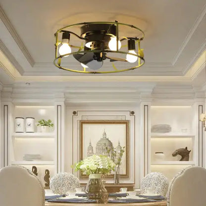 Ceiling Fan with Light